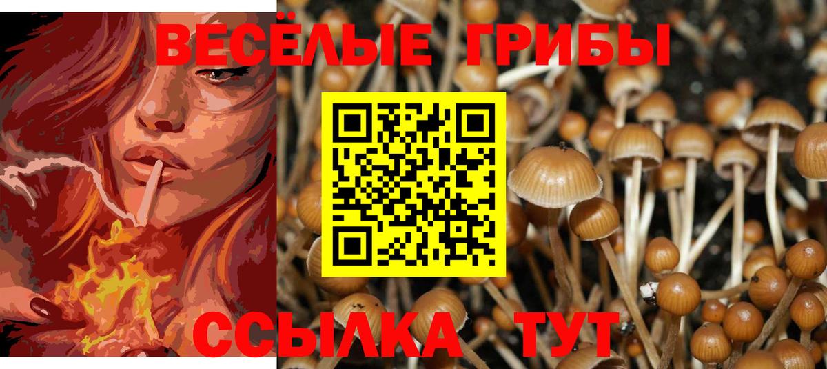 Галлюциногенные грибы прущие грибы  Галлюциногенные грибы GOLDEN TEACHER  Ликино-Дулёво  Вход с VPN 